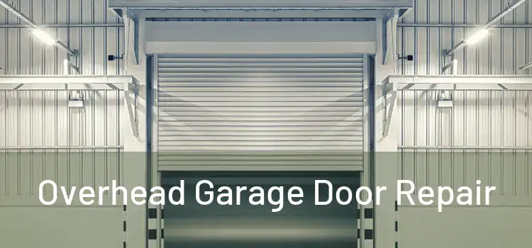 Overhead Garage Door Repair